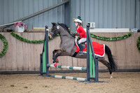 Class 5 - Show Jumping 0.45m