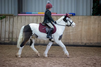 Class 6 - Prettiest Mare