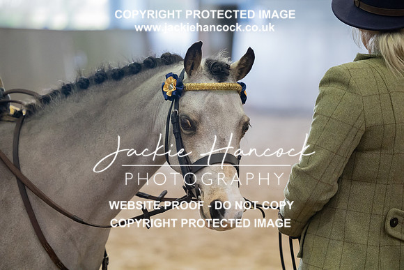 JHP_2165