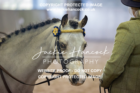 JHP_2166