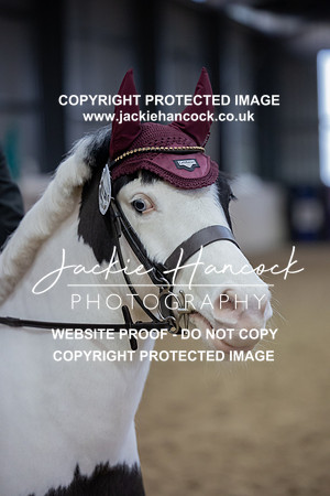 JHP_2179