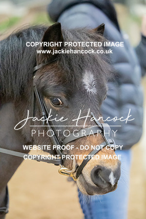 JHP_2301