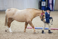 Class 8 - Best Handler