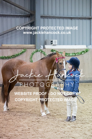 JHP_2384