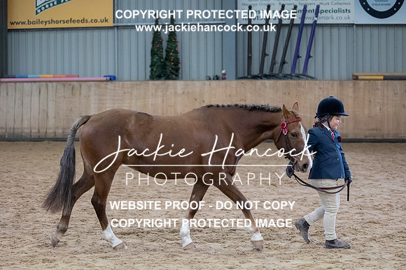 JHP_2397