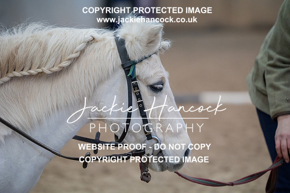 JHP_2290