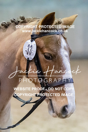 JHP_2681