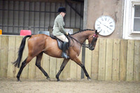 Class 22 - Riding Horse/Hack