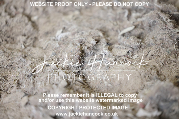 R5JH1247