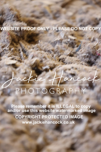 R5JH2176