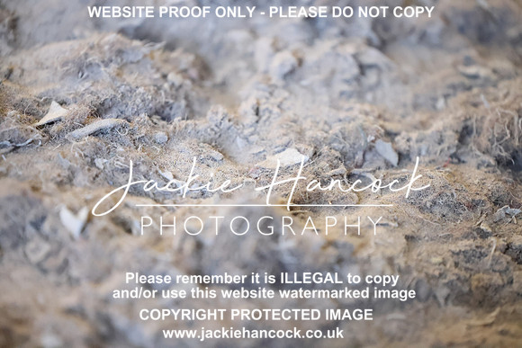 R5JH2676