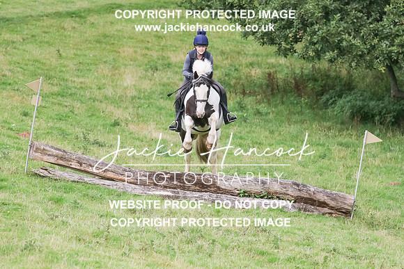UCP10275