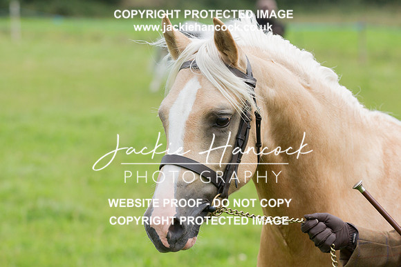 103901-150821-JHP