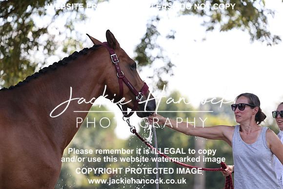 JHP_0776