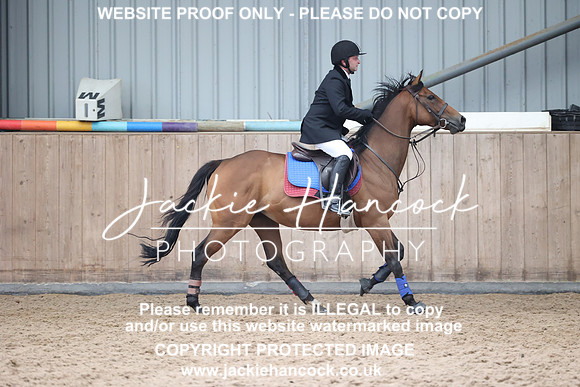 JHP_2013