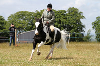 Ridden Showing - Class 7
