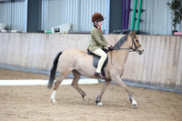 Class 10 - open riding pony