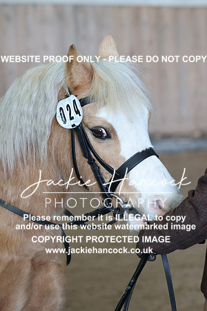 JHP_0246