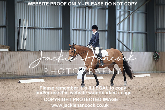JHP_8381