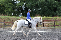 Dressage