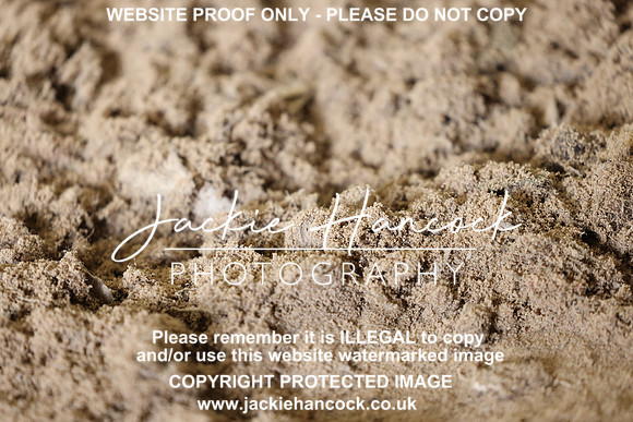 R5JH0481
