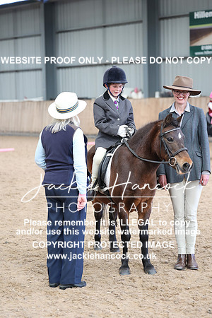 JHP_2011