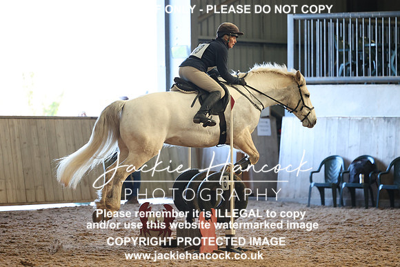 JHP_8581