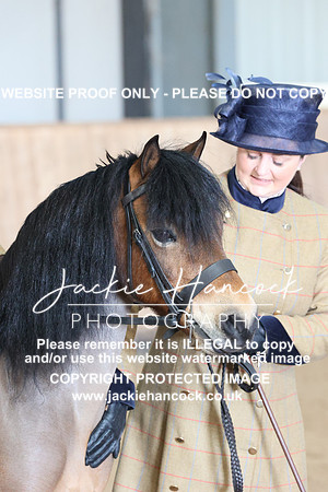 JHP_0247