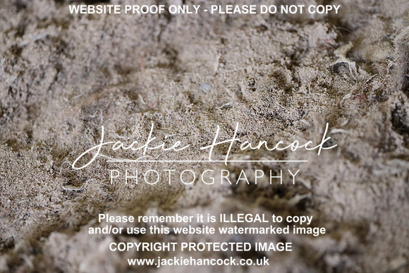 R5JH3605