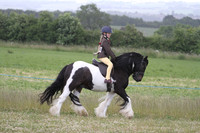 Ridden Showing - Class 2