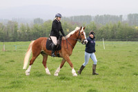 Ridden Class 15b - Intro to showing Seniors