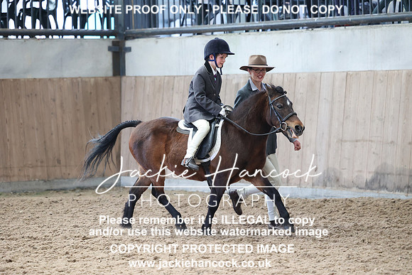 JHP_2018