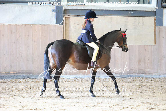 JHP_0337