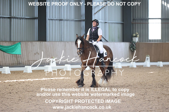 JHP_3006