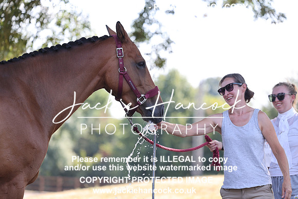 JHP_0774