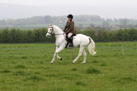 Ridden Class 19 - Riding club horse/pony