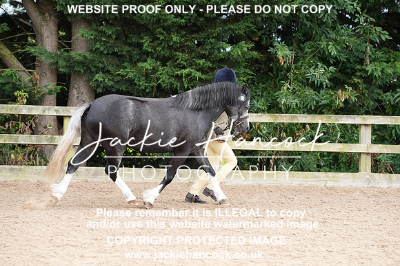 DSC06170