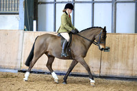 Class 19 - Ridden small hunter