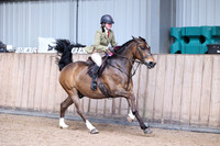 Working Hunter Championships