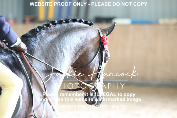 JHP_0419