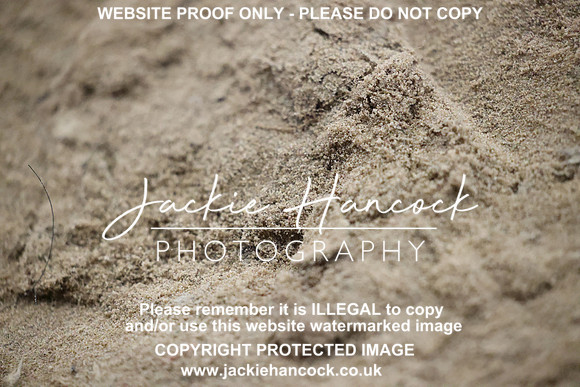 R5JH1672