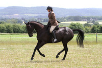 Ridden Showing - Class 8 - RoR