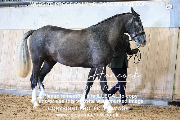 GLP-0503-105317