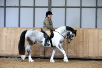 Class 4 - Walk & Trot