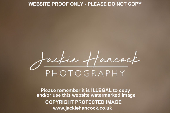 R5JH0483