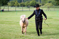 BSpPS Breed Show Ring 1