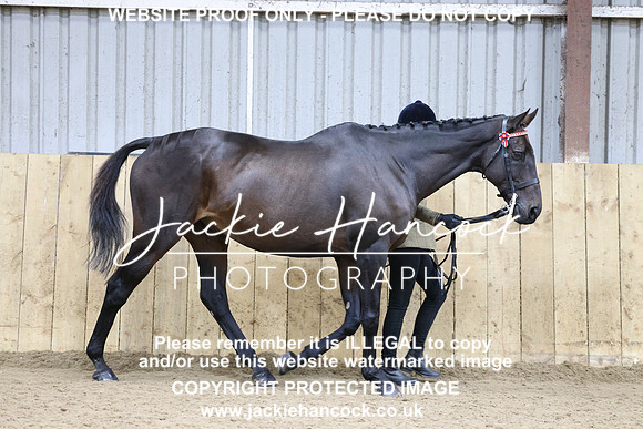 1S8A1162