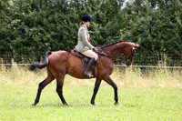 Ridden - all classes