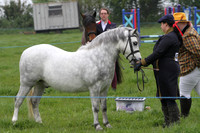 In Hand Class 12 - Mountain and Moorland