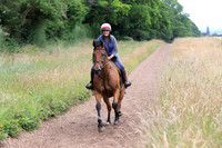Gallops 29.06.24